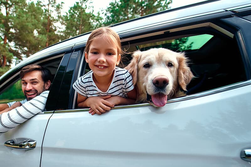 Insured family car leasing packages decorative image