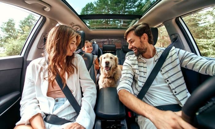 Driving abroad on family holidays image