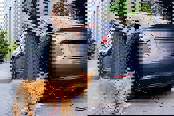 Should I Get an Electric Family Car? A Comprehensive Guide image